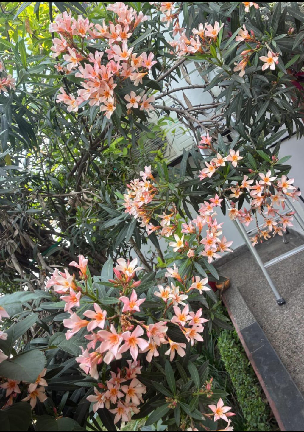 Technical Excellence